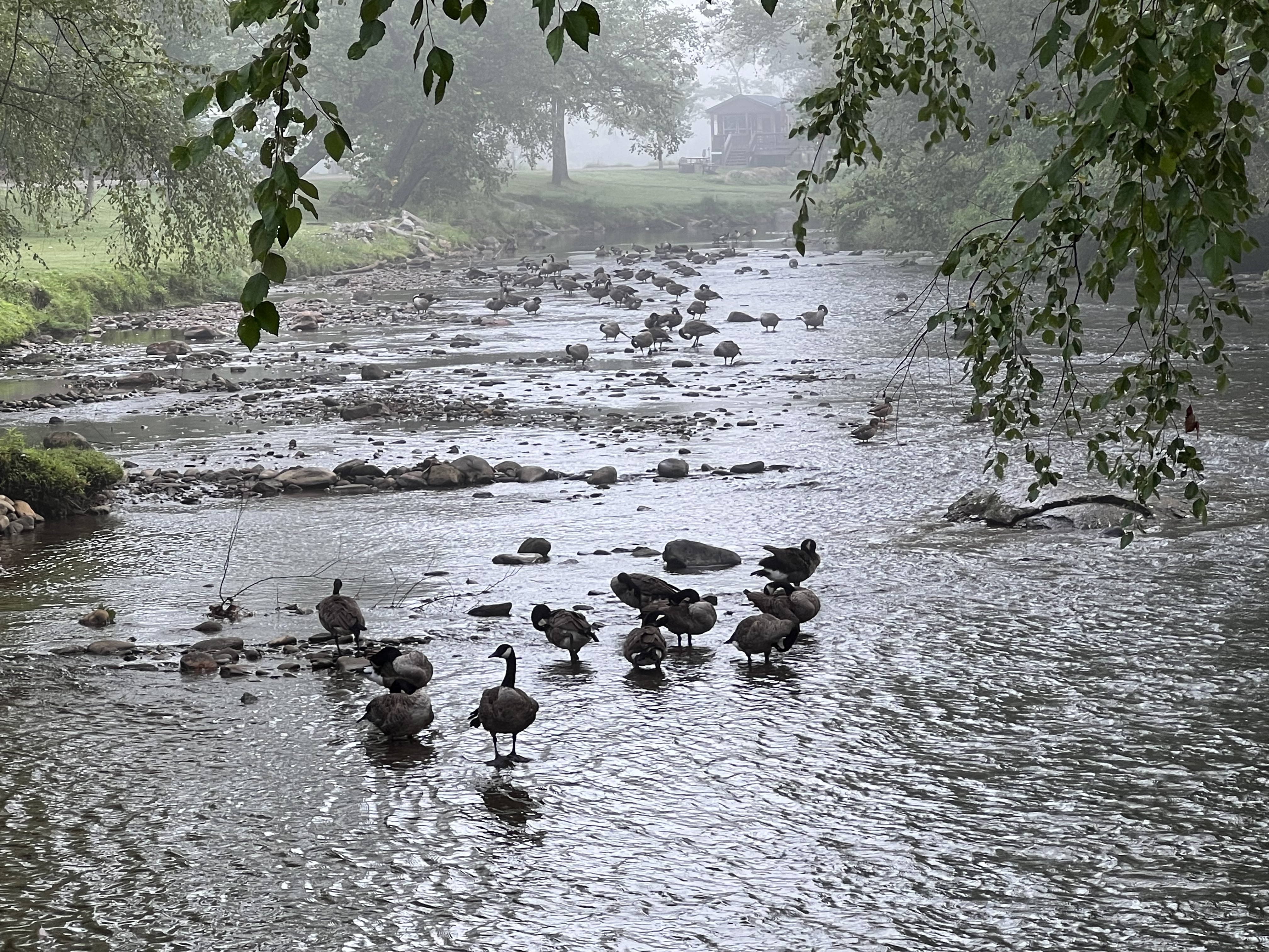 ./2023/11 - Asheville/IMG_9827.jpg